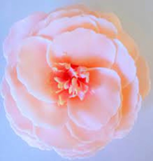 A\'Marie\'s Bath Flower Soap