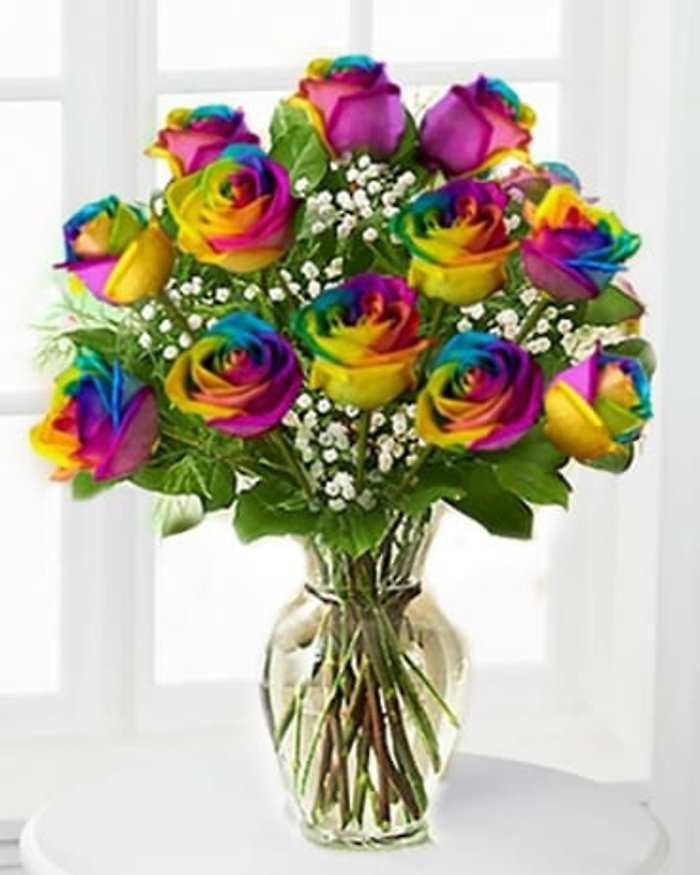 Rainbow Roses