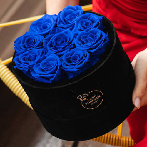 9 Royal Blue Roses Velvet Eternity Roses Box