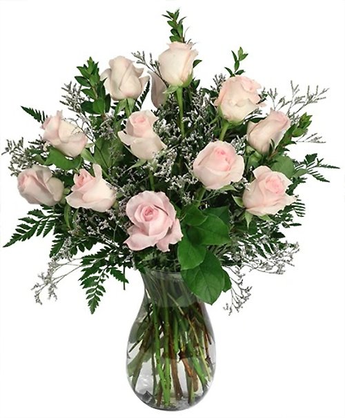 Pink Roses