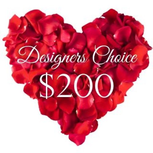Designers Choice